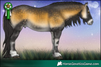 Horse Color:Buckskin Onyx