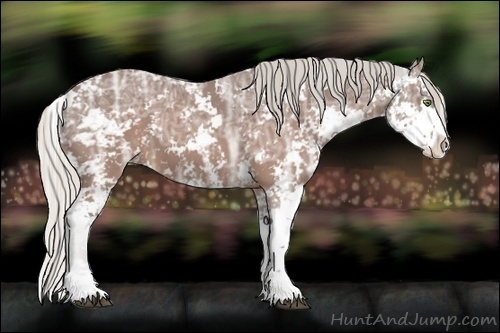 Horse Color:Silver Brown Ice Sabino 