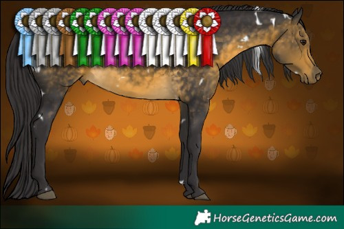 Horse Color:White Spotted Buckskin 