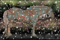 Horse Color:Chocolate Palomino 