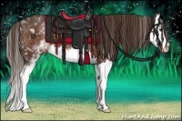 Horse Color:White Spotted Liver Chestnut Splash 