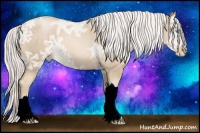 Horse Color:Silver Buckskin Ice Pearl