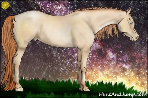 Horse Color:Sable Champagne Pearl 