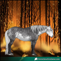 Horse Color:Silver Buckskin Chinchilla 