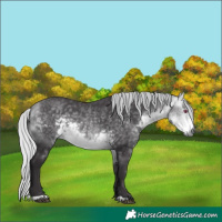 Horse Color:Silver Buckskin Chinchilla 