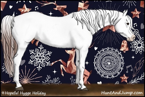 Horse Color:Brown Appaloosa 