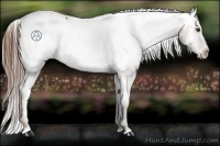 Horse Color:Chestnut Snowcap