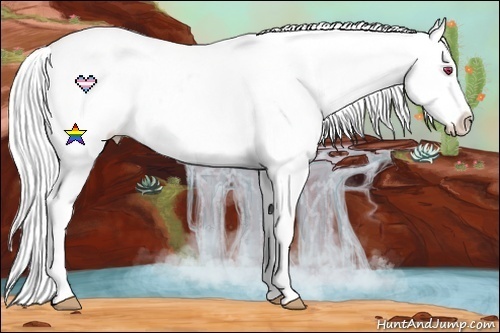 Horse Color:Liver Chestnut Chinchilla Sabino Appaloosa 