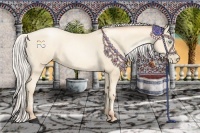 Horse Color:Silver Amber Cream Champagne Pearl