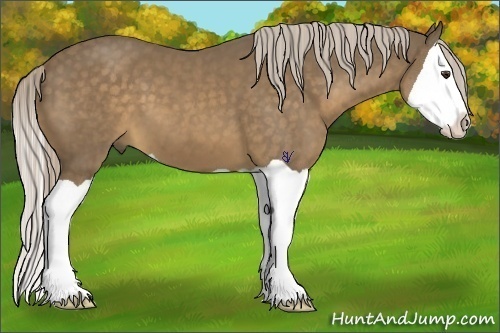 Horse Color:Chocolate Palomino Splash 