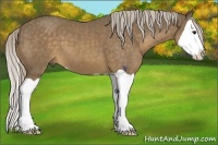 Horse Color:Chocolate Palomino Splash