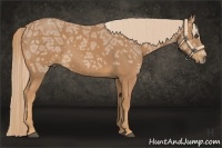 Horse Color:Chestnut Ice