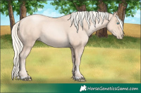 Horse Color:Gold Cream Champagne Pearl 