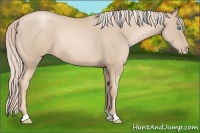 Horse Color:Palomino Pearl