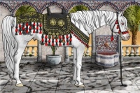 Horse Color:Brown Chinchilla Appaloosa Rabicano