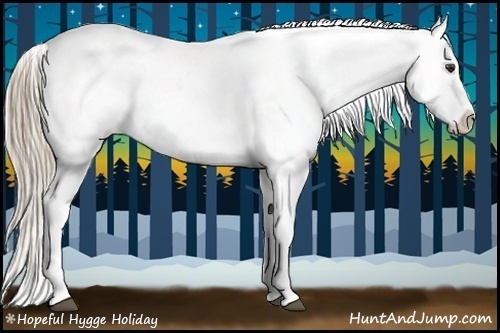 Horse Color:Chestnut Appaloosa 