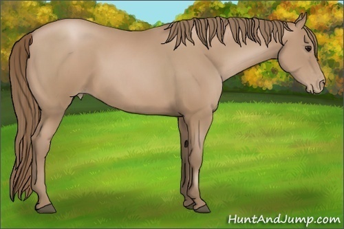 Horse Color:Black Pearl 