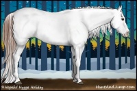 Horse Color:Chestnut Appaloosa