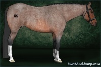 Horse Color:Bay Roan 