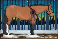 Horse Color:Bay Roan 