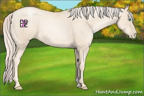 Horse Color:Gold Cream Champagne Pearl 