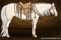 Horse Color:Silver Amber Cream Champagne Pearl