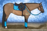 Horse Color:Bay Dun Sabino