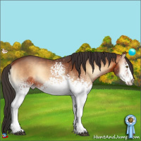 Horse Color:White Spotted Brown Onyx 