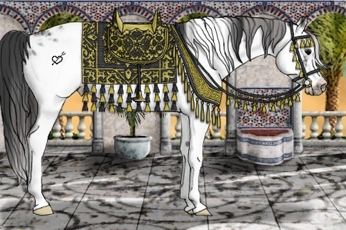 Horse Color:Blue Ice Roan Splash Frame Appaloosa 