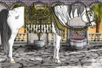 Horse Color:Blue Ice Roan Splash Frame Appaloosa 