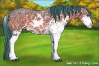 Horse Color:Watercolor Bay Ice Sabino 