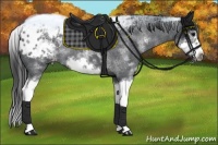 Horse Color:White Spotted Blue Roan Splash Frame Varnish 