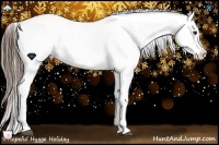 Horse Color:Liver Chestnut Sabino Snowcap Rabicano 