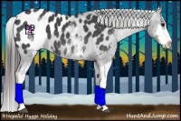 Horse Color:White Spotted Blue Roan Splash Frame Appaloosa