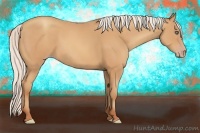 Horse Color:Silver Amber Champagne Frame 