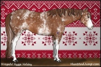 Horse Color:White Spotted Chestnut