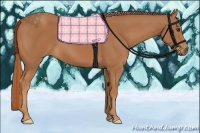 Horse Color:Chestnut Frame