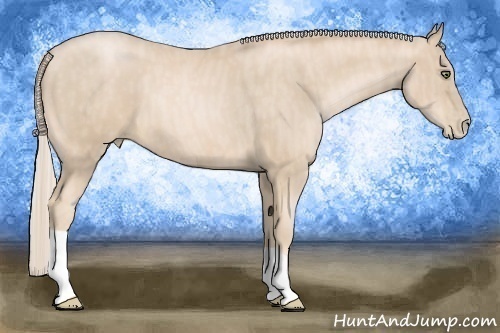 Horse Color:Palomino Pearl  Brindle
