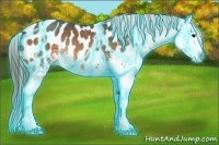Horse Color:Thunderstruck White Spotted Buckskin Splash Blanket 