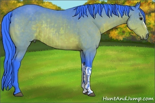 Horse Color:Watercolor Buckskin  and Watercolor Buckskin 