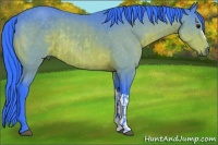 Horse Color:Watercolor Buckskin  and Watercolor Buckskin 