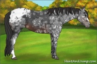 Horse Color:Brown Ice Blanket 