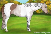 Horse Color:Red Roan Tobiano  Brindle
