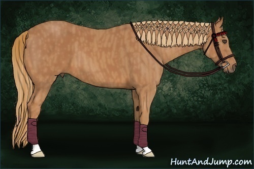 Horse Color:Chestnut  Brindle
