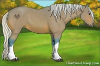 Horse Color:Watercolor Silver Bay 