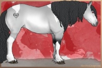 Horse Color:Bay Chinchilla Tobiano 
