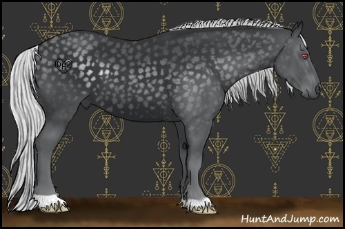 Horse Color:Silver Black Chinchilla
