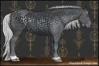 Horse Color:Silver Black Chinchilla 