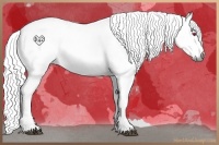 Horse Color:Chestnut Chinchilla 