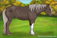 Horse Color:Silver Black 